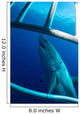 Male Great White Shark Wall Decal Design 5