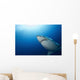 Male Great White Shark Wall Decal Design 4