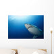 Male Great White Shark Wall Decal Design 4