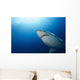 Male Great White Shark Wall Decal Design 4