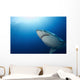 Male Great White Shark Wall Decal Design 4