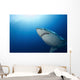Male Great White Shark Wall Decal Design 4