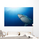 Male Great White Shark Wall Decal Design 4