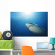 Male Great White Shark Wall Decal Design 3