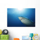 Male Great White Shark Wall Decal Design 3