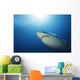 Male Great White Shark Wall Decal Design 3