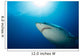 Male Great White Shark Wall Decal Design 3