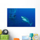 Male Great White Shark Wall Decal Design 4