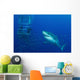 Male Great White Shark Wall Decal Design 4