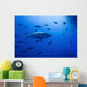 Male Great White Shark Wall Decal Design 3