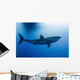 Male Great White Shark Wall Decal Design 2