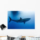 Male Great White Shark Wall Decal Design 2