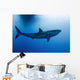 Male Great White Shark Wall Decal Design 2