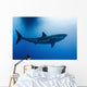 Male Great White Shark Wall Decal Design 2