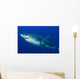 Male Great White Shark Wall Decal Design 2