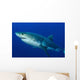 Male Great White Shark Wall Decal Design 2