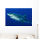Male Great White Shark Wall Decal Design 2