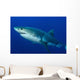 Male Great White Shark Wall Decal Design 2