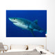Male Great White Shark Wall Decal Design 2