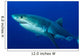 Male Great White Shark Wall Decal Design 2