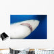 Male Great White Shark Wall Decal Design 1