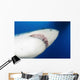Male Great White Shark Wall Decal Design 1