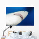 Male Great White Shark Wall Decal Design 1