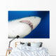Male Great White Shark Wall Decal Design 1