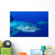 Pair Male Great White Wall Decal