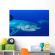 Pair Male Great White Wall Decal
