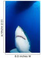Male Great White Shark Wall Decal Design 1