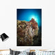 Octopus Posing Reef La Wall Decal