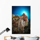 Octopus Posing Reef La Wall Decal