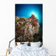 Octopus Posing Reef La Wall Decal