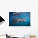 Whale Shark La Paz Wall Decal