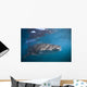 Whale Shark La Paz Wall Decal