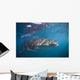 Whale Shark La Paz Wall Decal