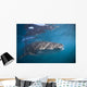 Whale Shark La Paz Wall Decal