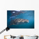 Whale Shark La Paz Wall Decal