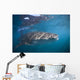 Whale Shark La Paz Wall Decal