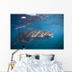 Whale Shark La Paz Wall Decal