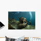 Pair Playful Sea Lions Wall Decal