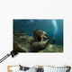 Pair Playful Sea Lions Wall Decal
