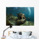 Pair Playful Sea Lions Wall Decal