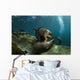 Pair Playful Sea Lions Wall Decal