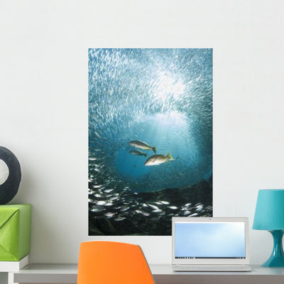 Trio Snappers Hunting for Wall Decal shown on a wall