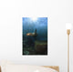 Sea Lion Chasing School Wall Decal