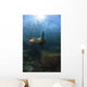 Sea Lion Chasing School Wall Decal