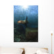 Sea Lion Chasing School Wall Decal