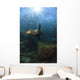 Sea Lion Chasing School Wall Decal